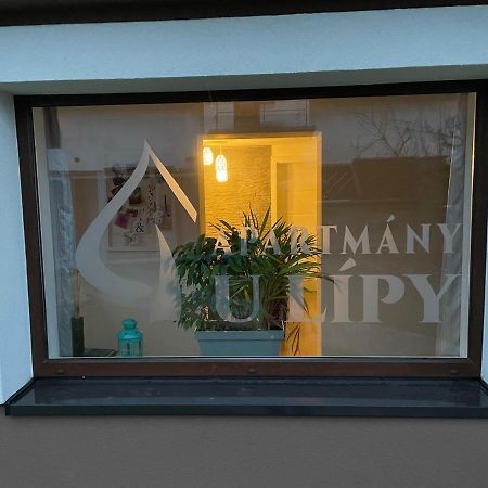 Apartmany U Lipy Tatobity エクステリア 写真