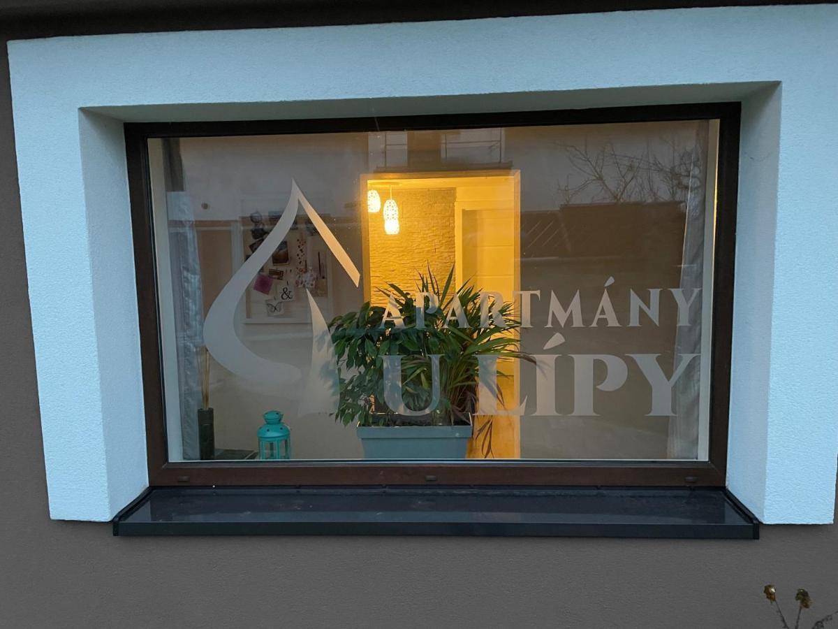Apartmany U Lipy Tatobity エクステリア 写真